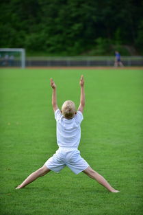 米兰体育网页版登录-高校体育专业课程体系动态调整研究，全国普通高校体育教育专业课程方案